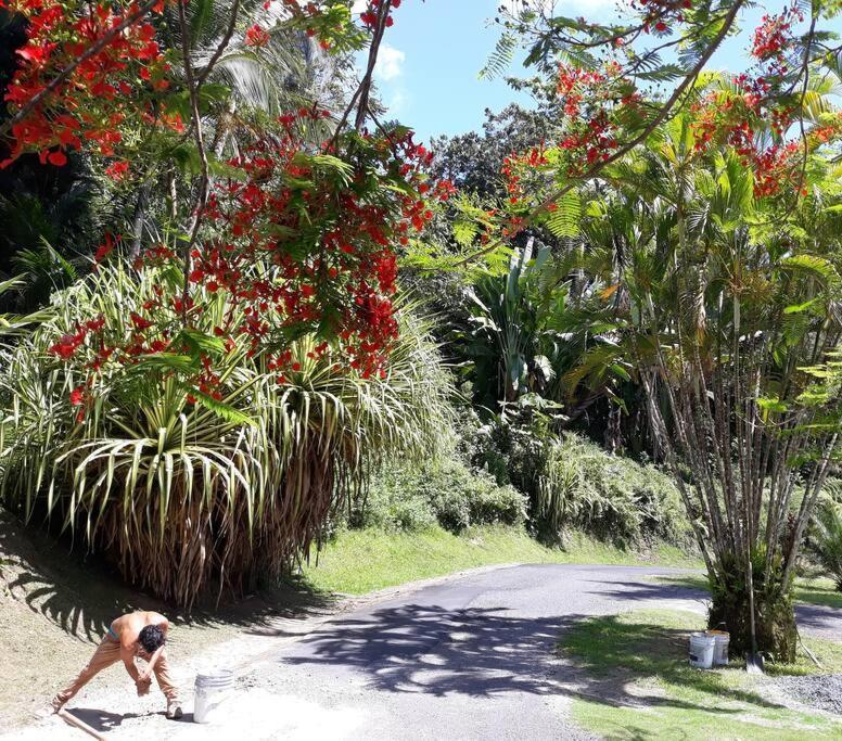 Las Piedras Swim & Paint Art Retreat 아파트 외부 사진