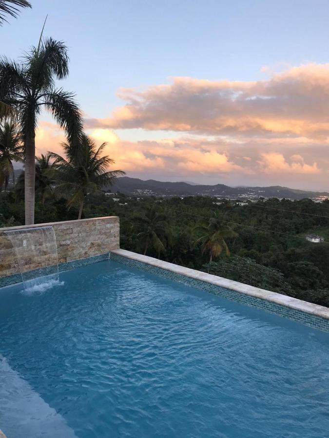 Las Piedras Swim & Paint Art Retreat 아파트 외부 사진